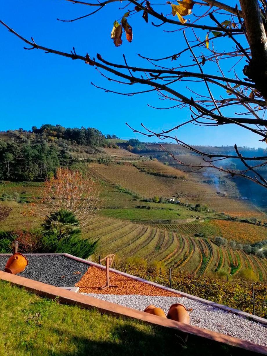 Quinta De Baixo Villa Vila Marim Exteriör bild
