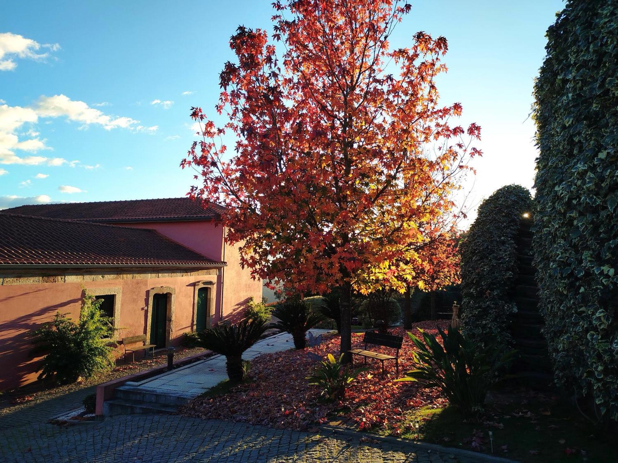 Quinta De Baixo Villa Vila Marim Exteriör bild
